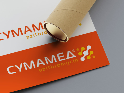 Брендбук, создание фирменного стиля